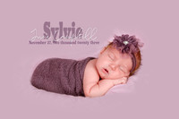 Sylvie June ~ Newborn ~ 2024