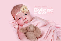 Cylene Claire ~ Newborn 2023