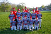 Reedsville Cardinals Baseball Team ~ Cal Ripken League 2023