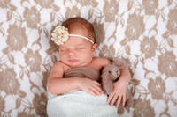 Quinn Madelynn ~ Newborn 2024