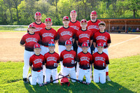 Reedsville Cardinals Major League Baseball ~ 2024